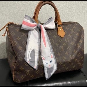 Louis Vuitton Speedy 35